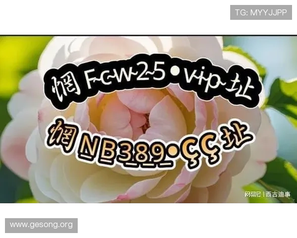 大发娱乐官网入口最新版本上线，全面优化提升用户体验与安全保障