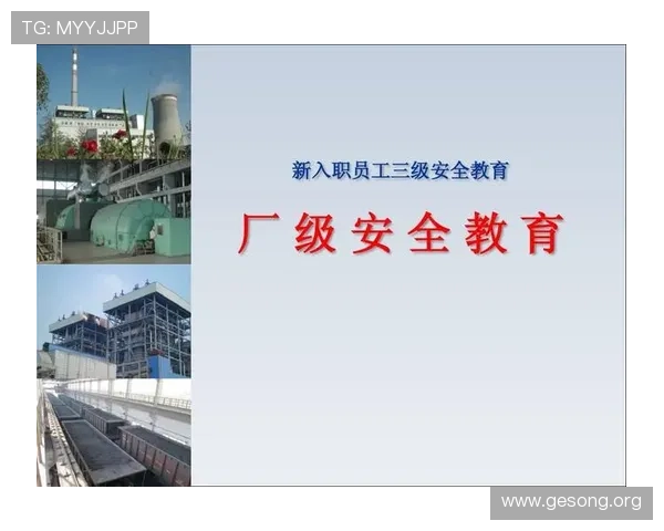 大发娱乐官网登录稳定安全，保障玩家资金与信息安全无忧